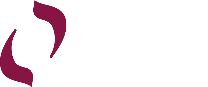 ZONE IT logo