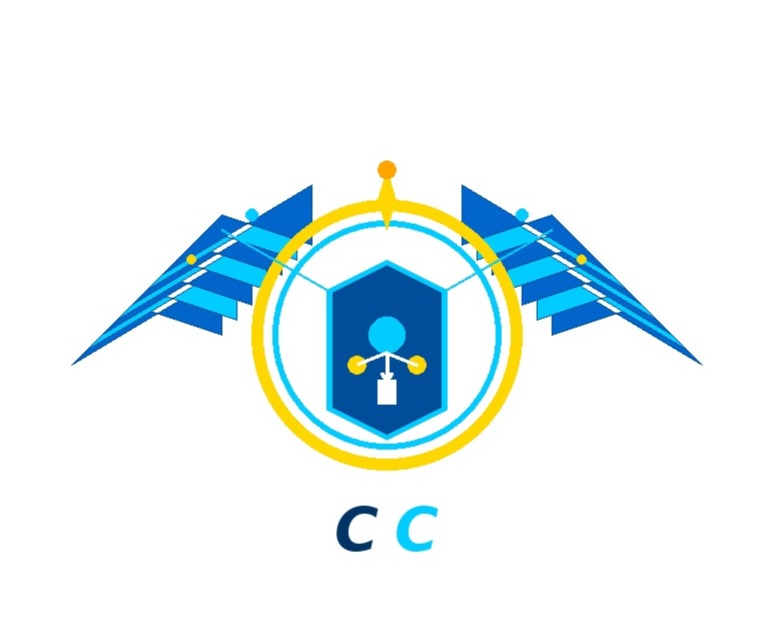 Caprizo Consulting logo